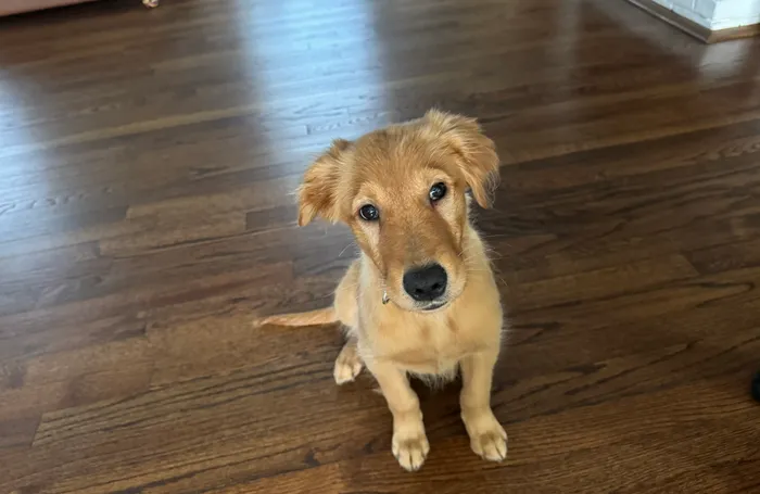 Oakley